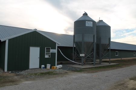 8 Broiler Poultry Operation on 170 Acres in Roberta, Georgia - image 21