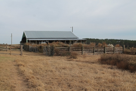 8 Broiler Poultry Operation on 170 Acres in Roberta, Georgia - image 10