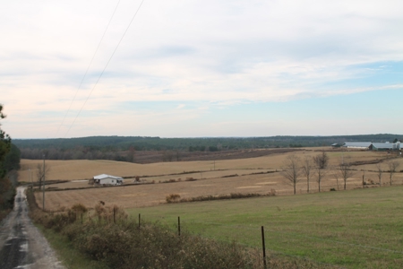 8 Broiler Poultry Operation on 170 Acres in Roberta, Georgia - image 2