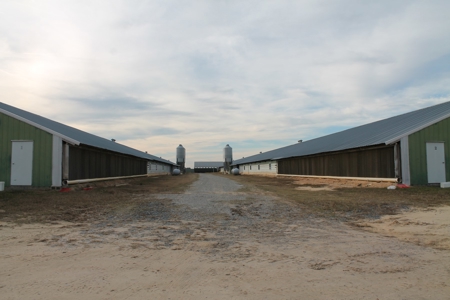 8 Broiler Poultry Operation on 170 Acres in Roberta, Georgia - image 11