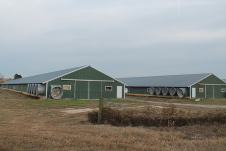 8 Broiler Poultry Operation on 170 Acres in Roberta, Georgia - image 27
