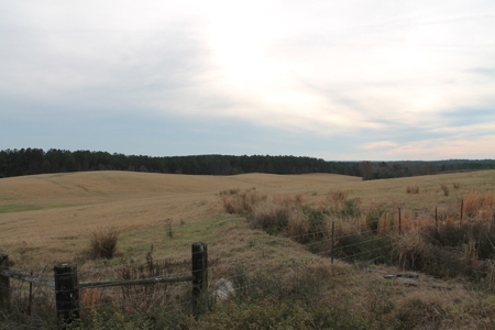 8 Broiler Poultry Operation on 170 Acres in Roberta, Georgia - image 7