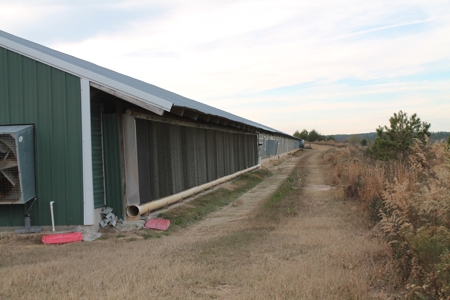 8 Broiler Poultry Operation on 170 Acres in Roberta, Georgia - image 19