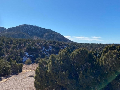 20 acres in Deer Canyon Preserve near Mountainair, NM - image 5
