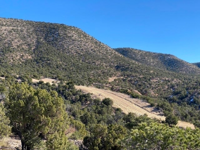 20 acres in Deer Canyon Preserve near Mountainair, NM - image 8