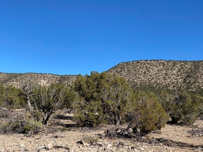 20 acres in Deer Canyon Preserve near Mountainair, NM - image 9