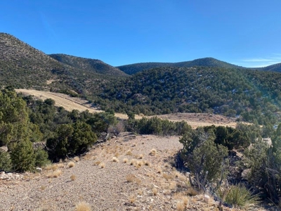 20 acres in Deer Canyon Preserve near Mountainair, NM - image 1