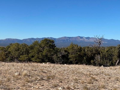20 acres in Deer Canyon Preserve near Mountainair, NM - image 6