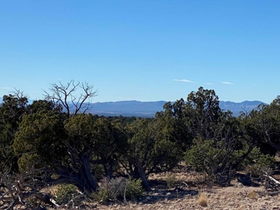 20 acres in Deer Canyon Preserve near Mountainair, NM - image 7
