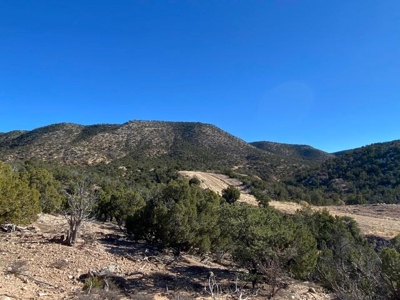 20 acres in Deer Canyon Preserve near Mountainair, NM - image 3