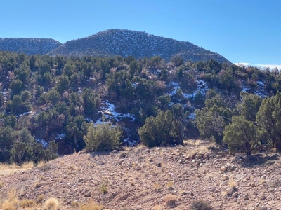 20 acres in Deer Canyon Preserve near Mountainair, NM - image 10