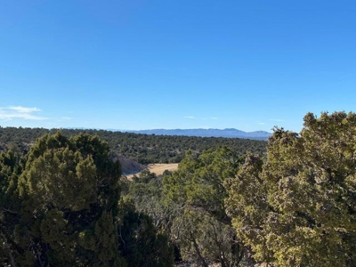 20 acres in Deer Canyon Preserve near Mountainair, NM - image 4