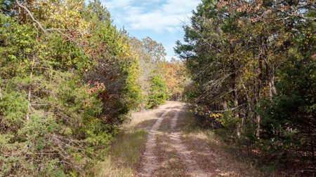 Lot # 3 in Gated Community in the Ozarks on Bull Shoals Lake - image 6