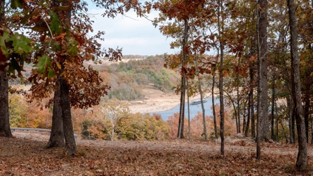 Lot # 3 in Gated Community in the Ozarks on Bull Shoals Lake - image 13