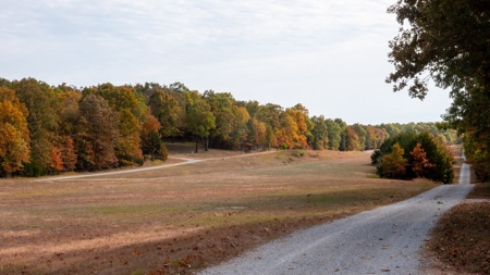 Lot # 3 in Gated Community in the Ozarks on Bull Shoals Lake - image 7