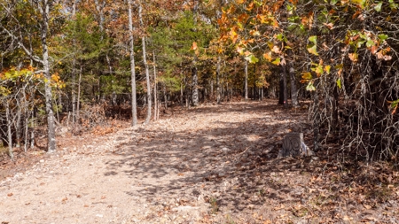 Lot # 3 in Gated Community in the Ozarks on Bull Shoals Lake - image 12