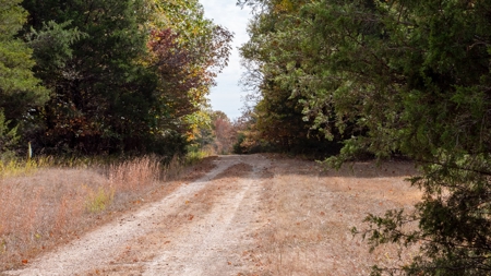 Lot # 3 in Gated Community in the Ozarks on Bull Shoals Lake - image 11