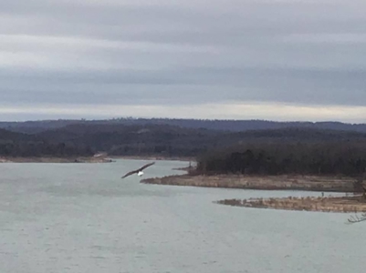 Lot # 3 in Gated Community in the Ozarks on Bull Shoals Lake - image 20