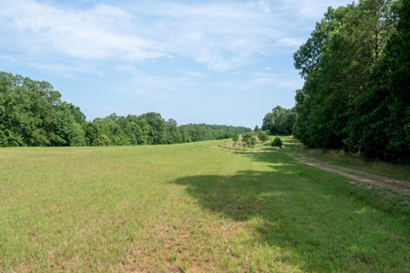 Lot # 3 in Gated Community in the Ozarks on Bull Shoals Lake - image 5