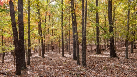 Lot # 3 in Gated Community in the Ozarks on Bull Shoals Lake - image 14
