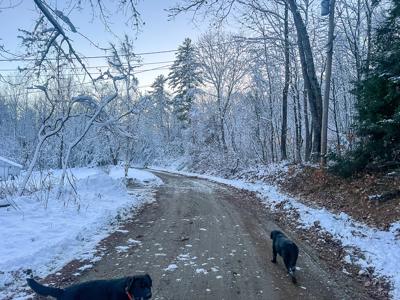 30 Acres of Recreational Maine Land - image 41