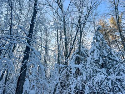 30 Acres of Recreational Maine Land - image 9