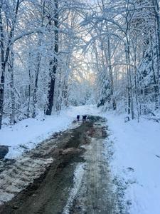 30 Acres of Recreational Maine Land - image 1