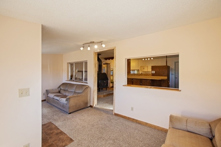 Adorable Mountain Home For Sale In Colorado - image 12