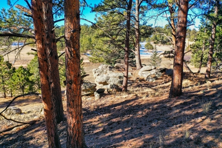 Adorable Mountain Home For Sale In Colorado - image 37