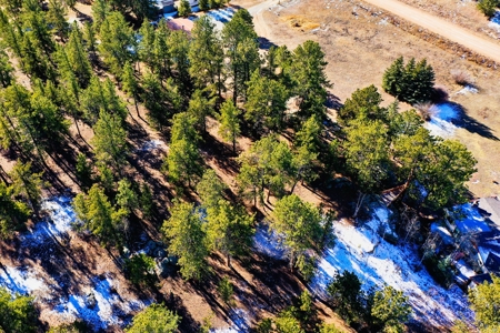 Adorable Mountain Home For Sale In Colorado - image 47