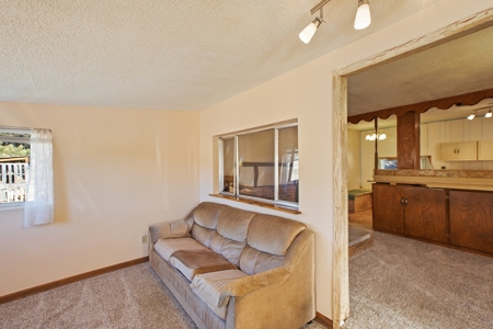 Adorable Mountain Home For Sale In Colorado - image 13