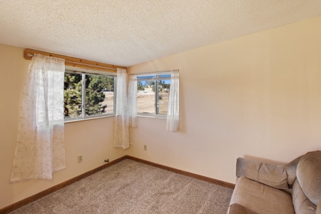 Adorable Mountain Home For Sale In Colorado - image 11
