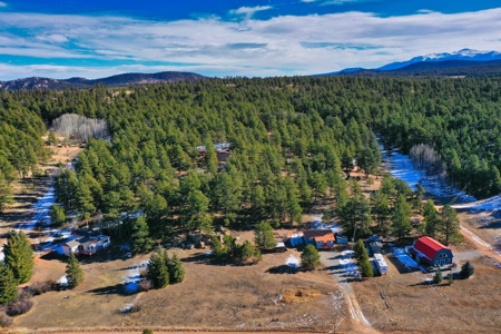 Adorable Mountain Home For Sale In Colorado - image 43