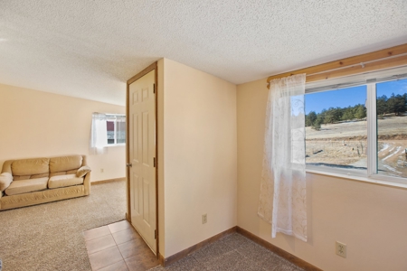 Adorable Mountain Home For Sale In Colorado - image 14
