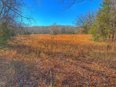 80+/- MO Investment Acres For Sale with Prime Hunting - image 7