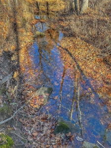 80+/- MO Investment Acres For Sale with Prime Hunting - image 3