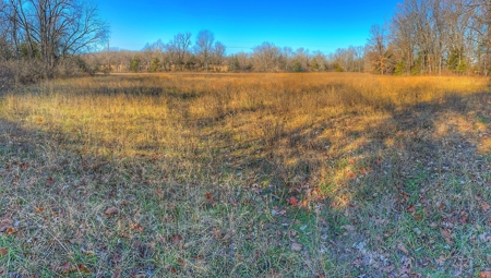 80+/- MO Investment Acres For Sale with Prime Hunting - image 11
