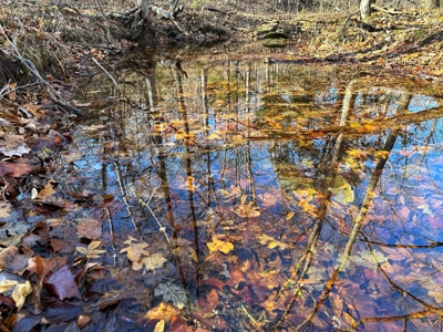 80+/- MO Investment Acres For Sale with Prime Hunting - image 15