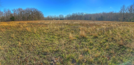 80+/- MO Investment Acres For Sale with Prime Hunting - image 5