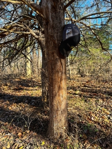 80+/- MO Investment Acres For Sale with Prime Hunting - image 14