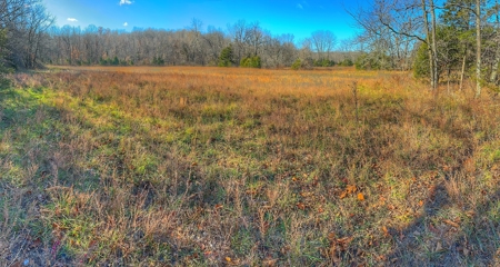 80+/- MO Investment Acres For Sale with Prime Hunting - image 6