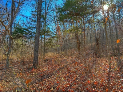 80+/- MO Investment Acres For Sale with Prime Hunting - image 10