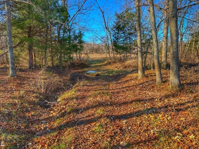 80+/- MO Investment Acres For Sale with Prime Hunting - image 12