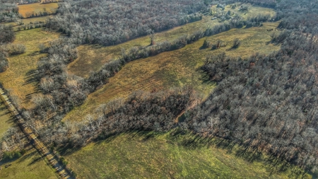 80+/- MO Investment Acres For Sale with Prime Hunting - image 17