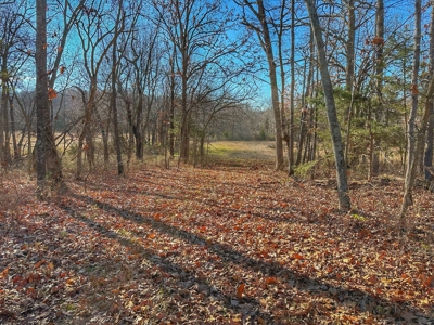 80+/- MO Investment Acres For Sale with Prime Hunting - image 2