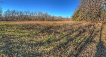 80+/- MO Investment Acres For Sale with Prime Hunting - image 4