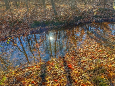 80+/- MO Investment Acres For Sale with Prime Hunting - image 9