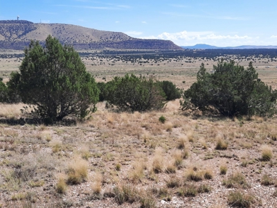 Awesome Views from this Northern AZ property - image 5