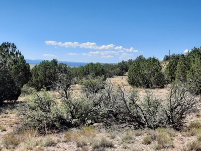 Awesome Views from this Northern AZ property - image 4