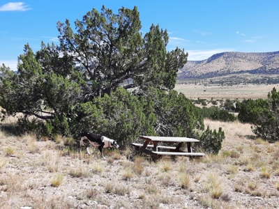 Awesome Views from this Northern AZ property - image 3